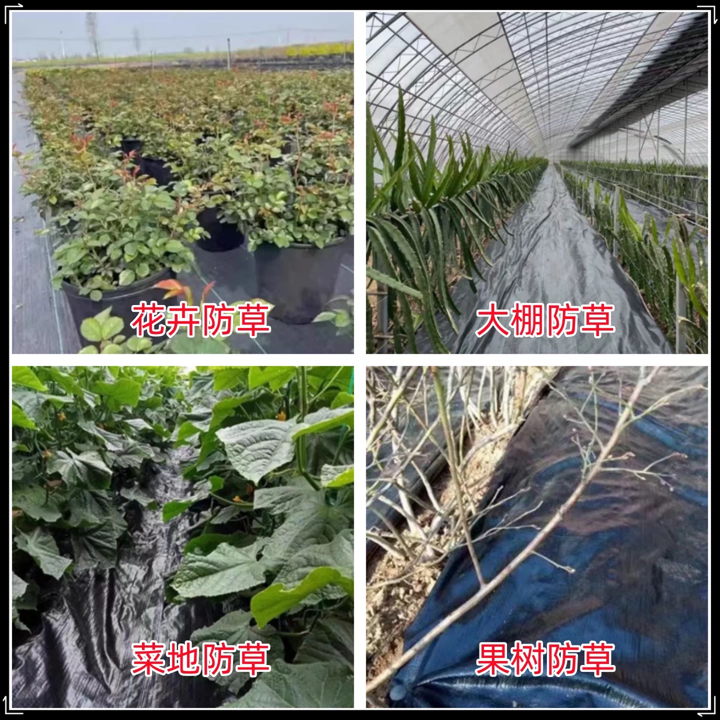 万宁市货车苫盖膜防草布 - 价格