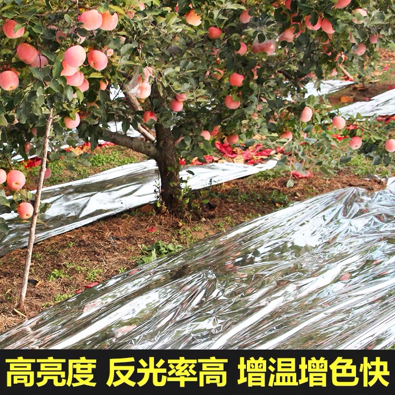 万宁市农用薄膜果树反光膜 - 哪里好